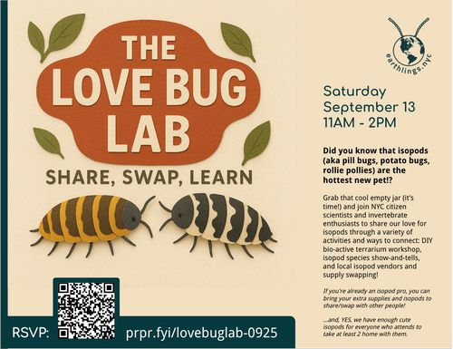 The Love Bug Lab: Isopods! Share, Swap, & Learn