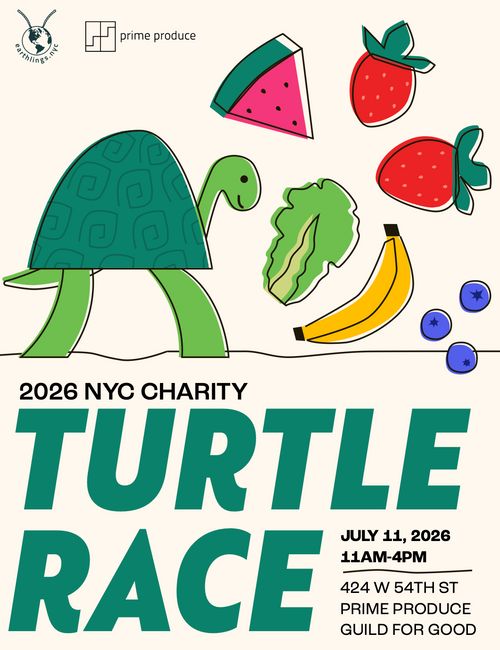 2026 NYC Charity Turtle Race