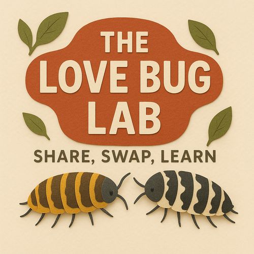 The Love Bug Lab: Isopods!