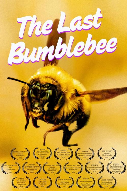 Nature Night: Bumblebees﻿