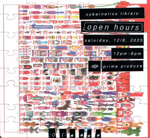 Cybernetics Library "Open Hour" 
